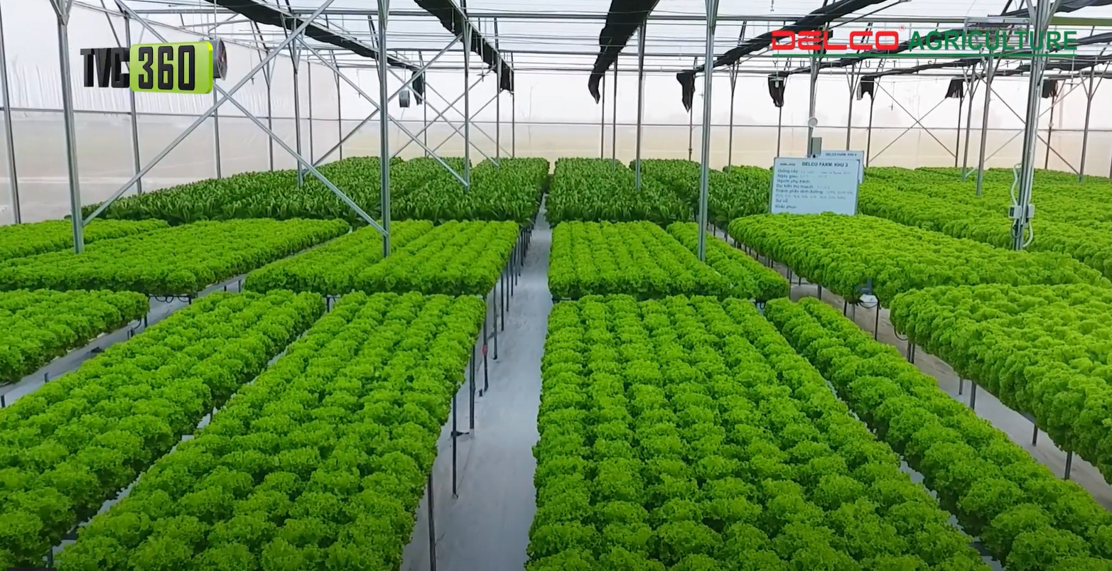 Delco Agriculture - Truyền Thông TVC360 Việt Nam - Công Ty TNHH Truyền Thông TVC360 Việt Nam